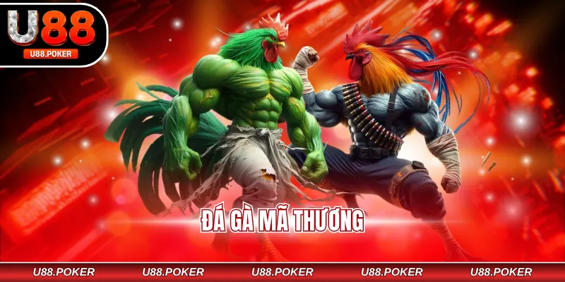 Đá Gà Mã Thương Là Gì? Luật Chơi, Kinh Nghiệm Hữu Ích Đá Gà Mã Thương