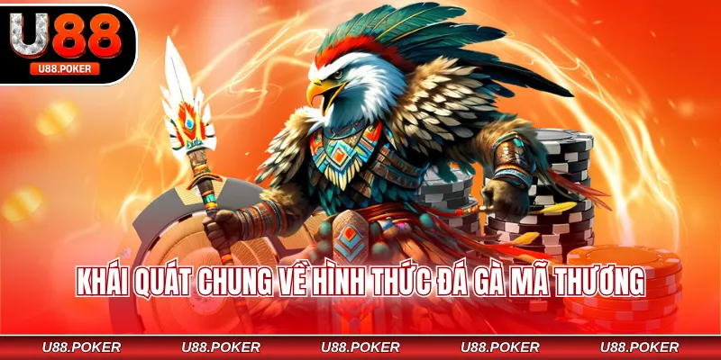 Đá Gà Mã Thương Là Gì? Luật Chơi, Kinh Nghiệm Hữu Ích Khái quát chung về hình thức đá gà mã thương