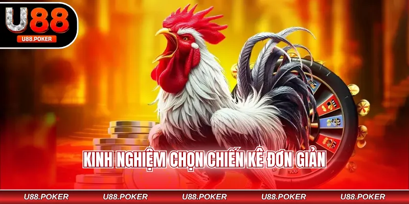 Đá Gà Mã Thương Là Gì? Luật Chơi, Kinh Nghiệm Hữu Ích Kinh nghiệm chọn chiến kê đơn giản