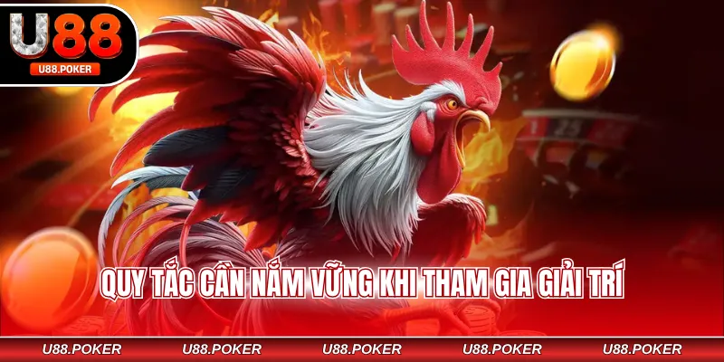 Đá Gà Mã Thương Là Gì? Luật Chơi, Kinh Nghiệm Hữu Ích Quy tắc cần nắm vững khi tham gia giải trí